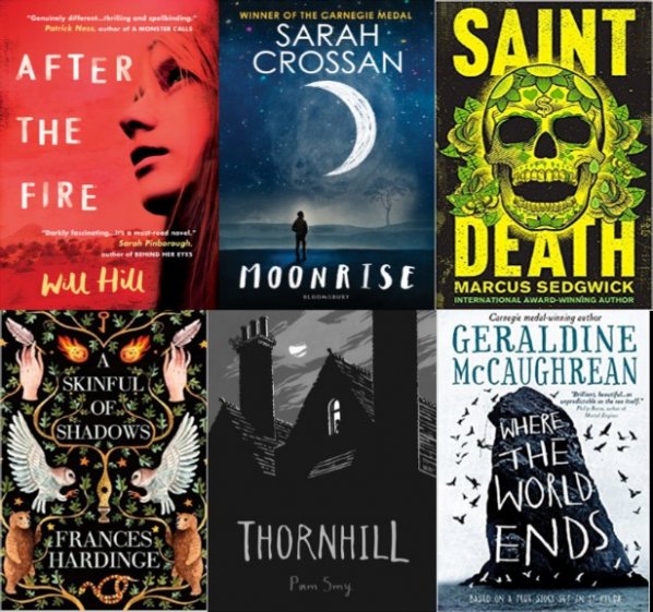 BookAward2019_shortlist.jpg